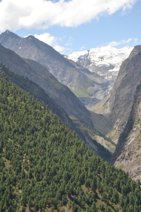 Profundo valle glaciar de un tributario del río Chandra, cerca de Keylong (Himachal Pradesh, India)